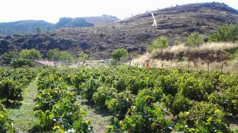 Granada - Guadix - 200m2