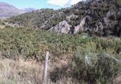 Casa de camp amb terreny en venda a la España, Guadix, ref.: TR376338 foto