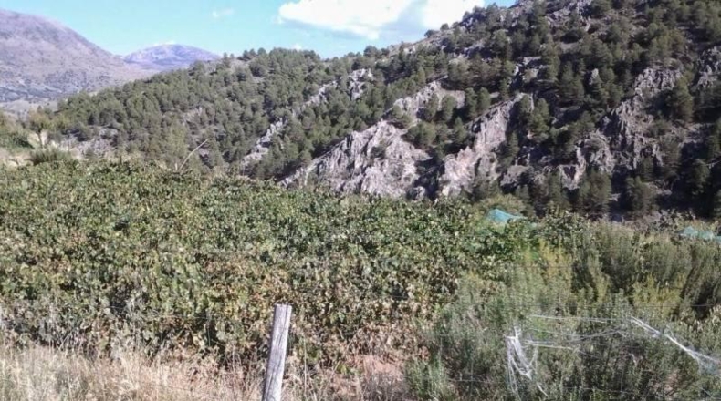 Granada - Guadix - 200m2