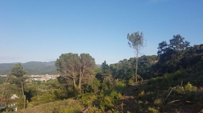 Barcelona - Sant Celoni - 2128m2