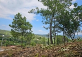 Suelo urbano en venta en la España, Sant Celoni, ref: TR114742 foto