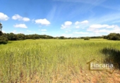 Terreno no urbanizable en venta en la España, Felanitx, ref: TR242906 foto