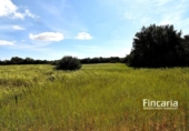 Terreno no urbanizable en venta en la España, Felanitx, ref: TR242906 foto