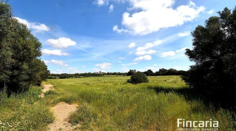 Balearic Islands - Felanitx - 15171m2