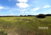 Terreno no urbanizable en venta en la España, Felanitx, ref: TR242906 foto
