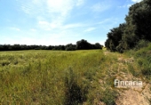 Terreno no urbanizable en venta en la España, Felanitx, ref: TR242906 foto