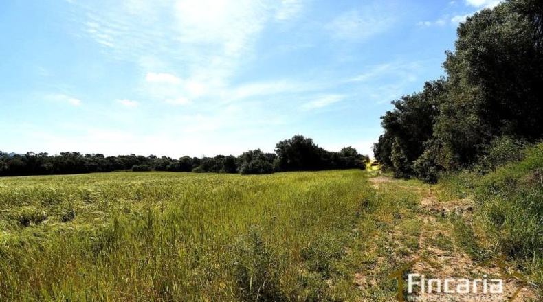 Balearic Islands - Felanitx - 15171m2