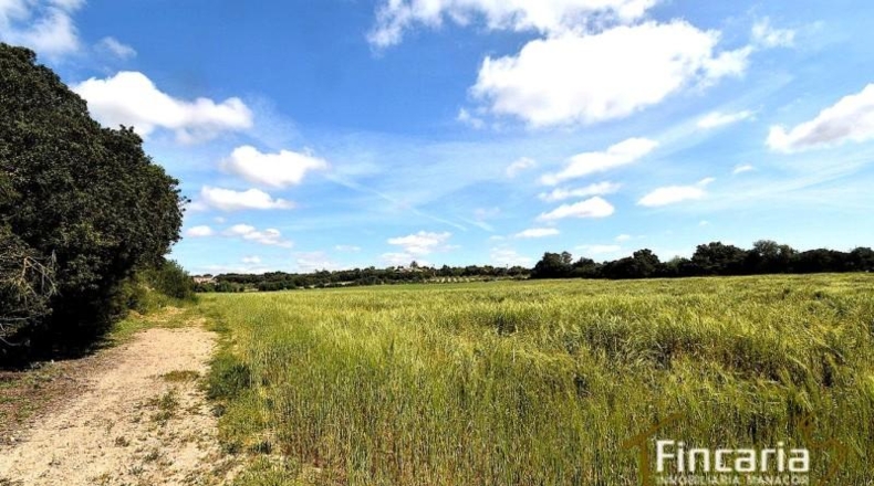 Balearic Islands - Felanitx - 15171m2