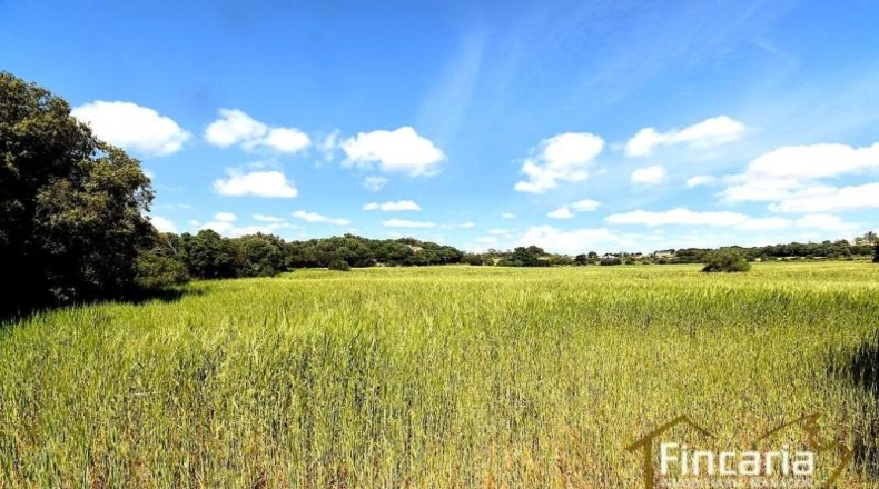 Balearic Islands - Felanitx - 15171m2