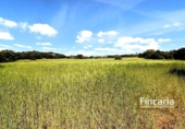Terreno no urbanizable en venta en la España, Felanitx, ref: TR242906 foto