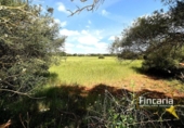 Terreno no urbanizable en venta en la España, Felanitx, ref: TR242906 foto