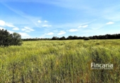 Terreno no urbanizable en venta en la España, Felanitx, ref: TR242906 foto