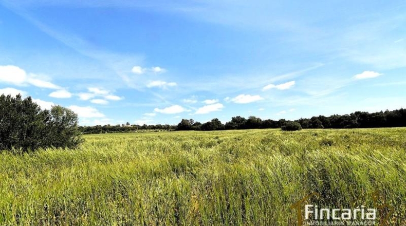 Balearic Islands - Felanitx - 15171m2