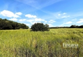 Terreno no urbanizable en venta en la España, Felanitx, ref: TR242906 foto