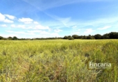 Terreno no urbanizable en venta en la España, Felanitx, ref: TR242906 foto