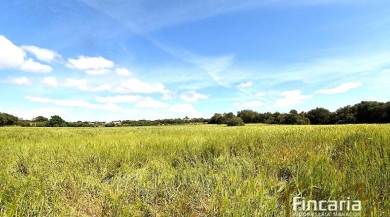Balearic Islands - Felanitx - 15171m2
