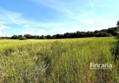 Terreno no urbanizable en venta en la España, Felanitx, ref: TR242906 foto