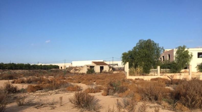 Murcia - Librilla - 30000m2