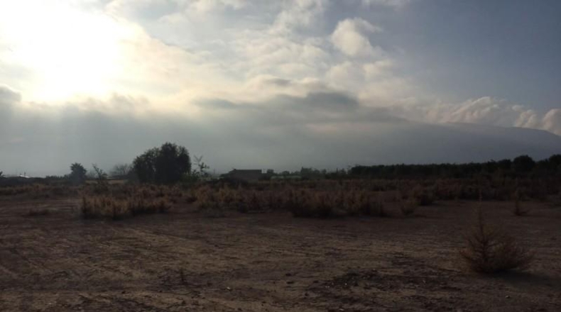 Murcia - Librilla - 30000m2