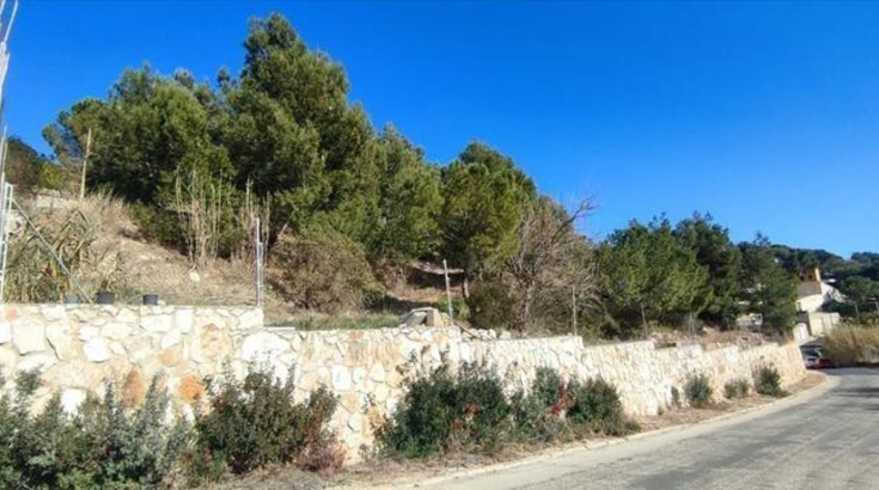 Valencia - Torrente - 5146m2