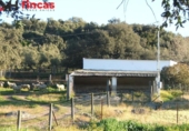 Xalet independent amb terreny en venda a la España, El Pedroso, ref.: TR398265 foto