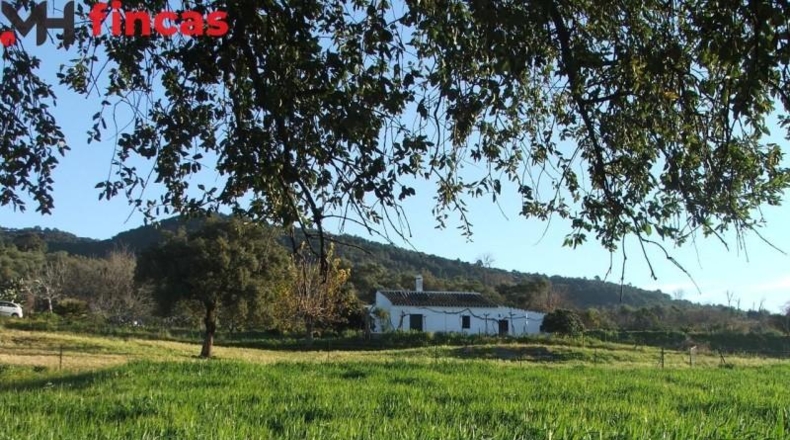 La Rioja - Pedroso - 112286m2