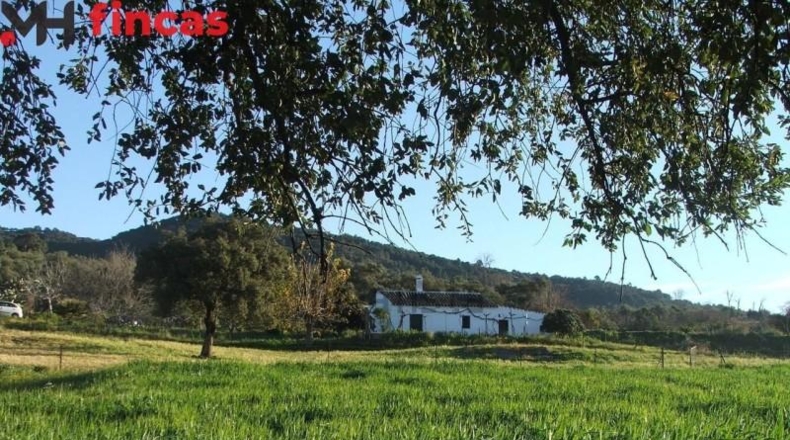 La Rioja - Pedroso - 112286m2