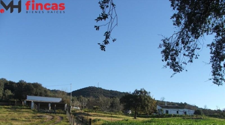 La Rioja - Pedroso - 112286m2