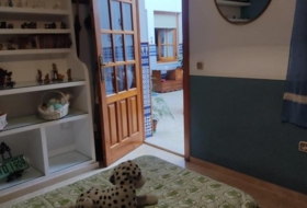 Foto 9