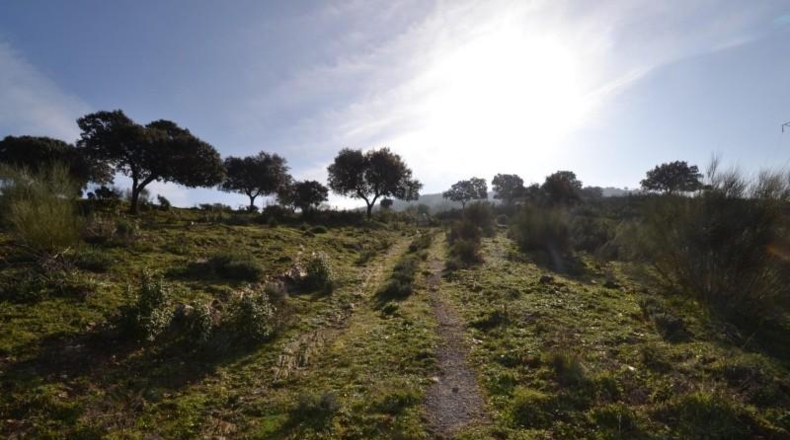 Caceres - Plasencia - 159810m2