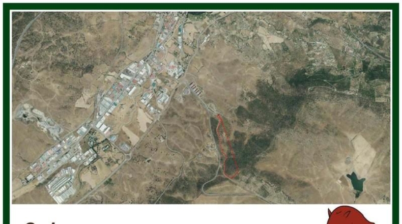 Caceres - Plasencia - 159810m2