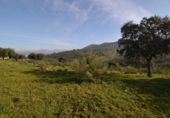 Parcela urbanizable en venta en la España, Plasencia, ref: TR310552 foto