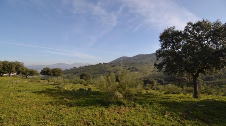 Caceres - Plasencia - 159810m2