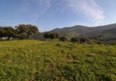 Parcela urbanizable en venta en la España, Plasencia, ref: TR310552 foto