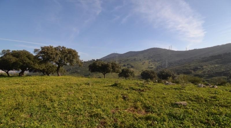Caceres - Plasencia - 159810m2