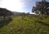 Parcela urbanizable en venta en la España, Plasencia, ref: TR310552 foto