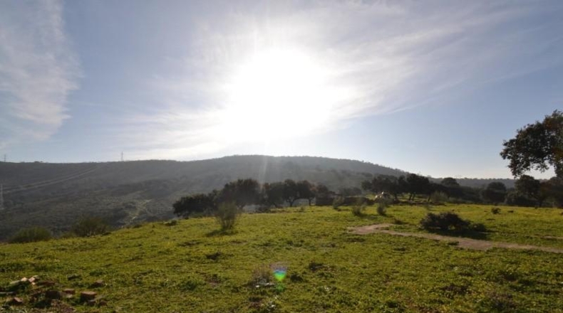 Caceres - Plasencia - 159810m2