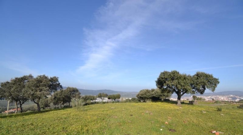 Caceres - Plasencia - 159810m2