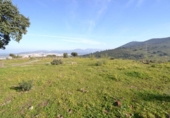Parcela urbanizable en venta en la España, Plasencia, ref: TR310552 foto