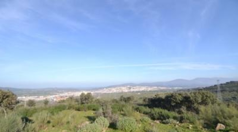 Caceres - Plasencia - 159810m2