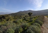 Parcela urbanizable en venta en la España, Plasencia, ref: TR310552 foto