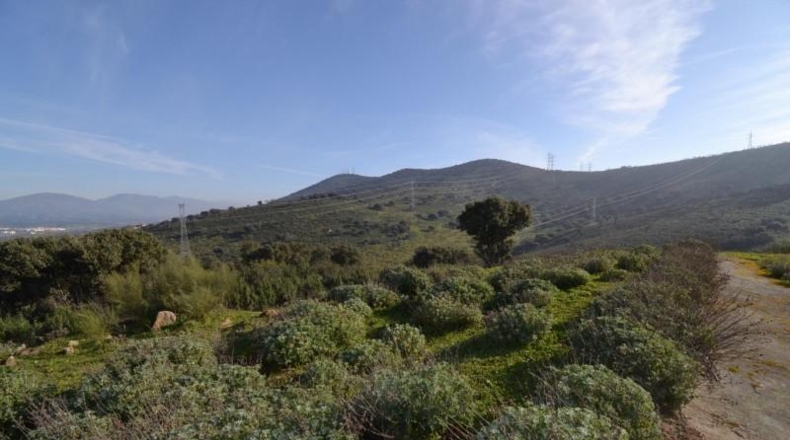 Caceres - Plasencia - 159810m2