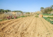 Suelo urbano en venta en la España, Piera, ref: TR228013 foto