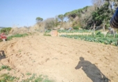 Suelo urbano en venta en la España, Piera, ref: TR228013 foto