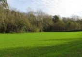 Detached villa with land for sale on España, Liandres, ref: TR136050 photo