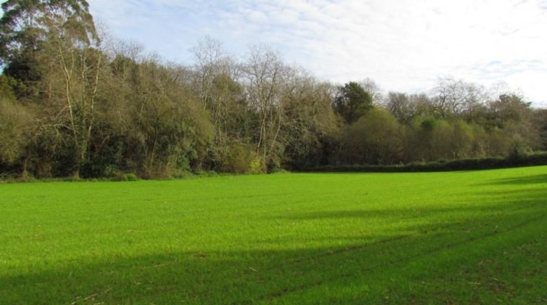 Cantabria - Ruiloba - 7447m2