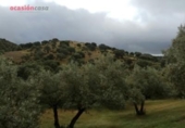 Chalet independiente con terreno en venta en la España, Villanueva de Córdoba, ref: TR235636 foto