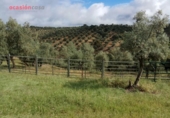 Chalet independiente con terreno en venta en la España, Villanueva de Córdoba, ref: TR235636 foto