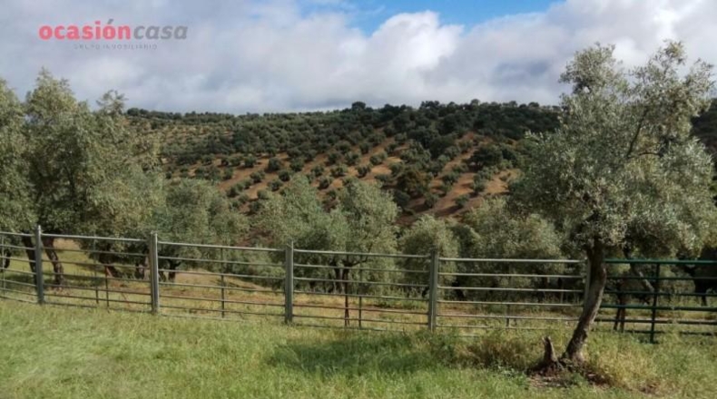 Córdoba - Villanueva de Córdoba - 310000m2