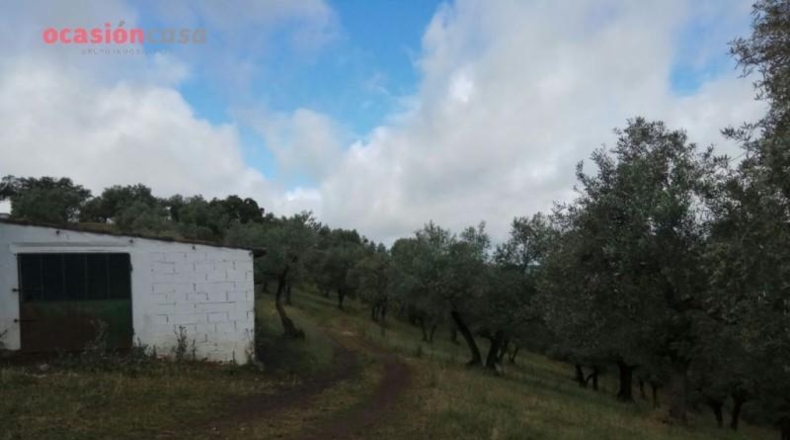 Córdoba - Villanueva de Córdoba - 310000m2